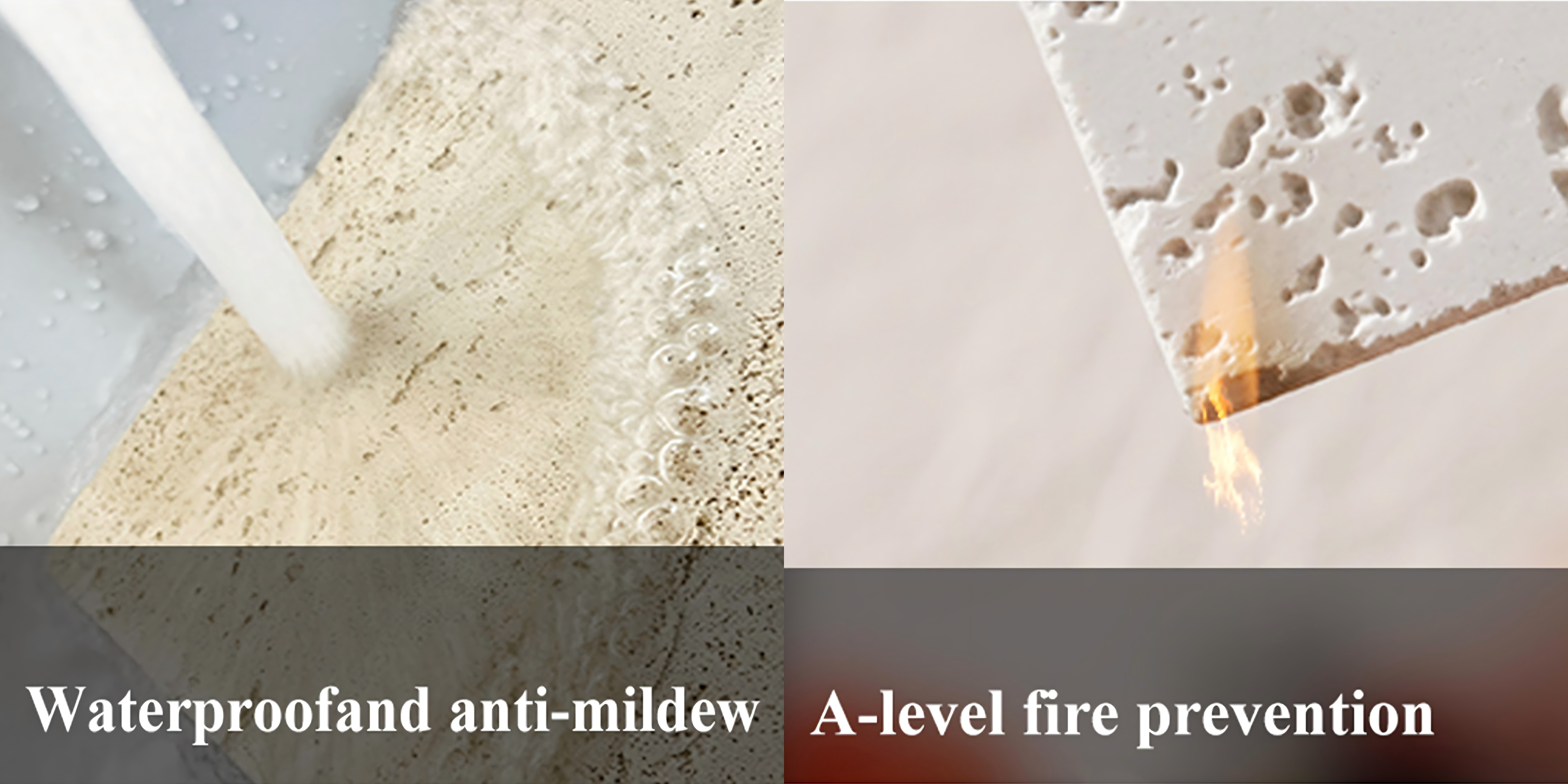 Diverse Styles and Superior Performance.png